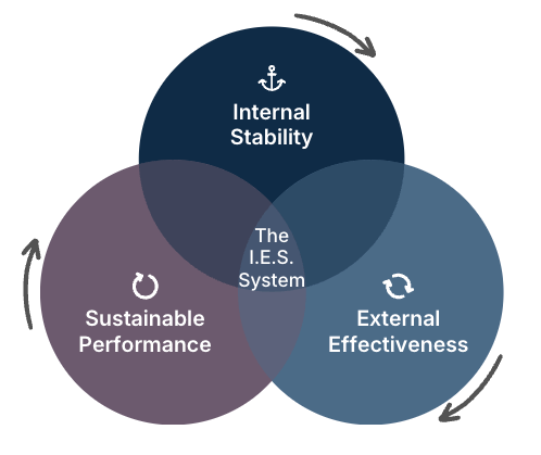 Venn diagram illustrating Kuanima's I.E.S. System of emotional intelligence